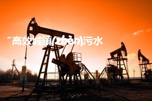 “高效城鎮(zhèn)污水處理流程，守護碧水藍天新篇章”